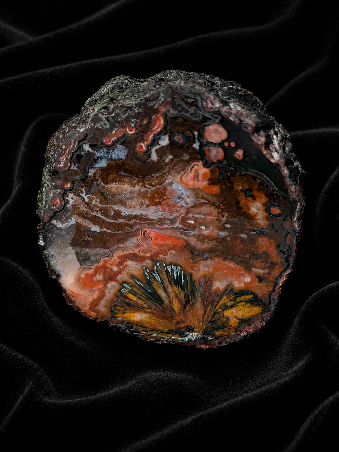 Phoenix Rise – Polished Agate #201